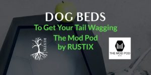 dog beds solid wood rustix blog header
